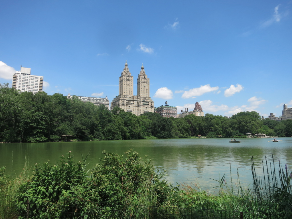 What to see and do in Central Park – poulet s'il vous plaît